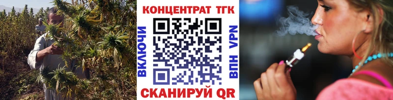 Купить закладки  Бологое  Дистиллят ТГК гашишное масло 